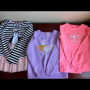 Bundle of 3 Girl’s 5T long sleeve shirts/sweaters